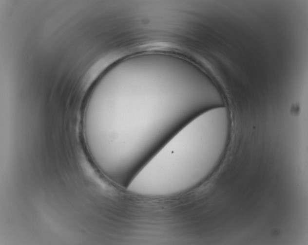 X0000111611418200907171029