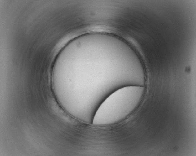 X0000111611419200907171029