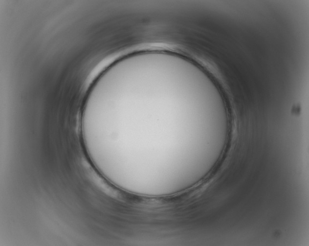 X0000111611420200907171029