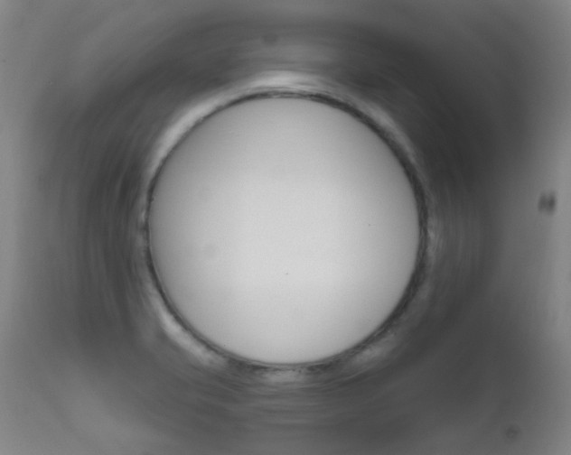 X0000111611421200907171029