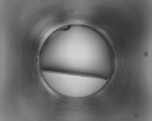 X0000111611424200907171029