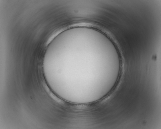 X0000111611425200907171029