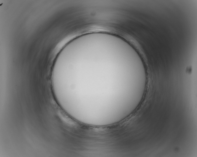 X0000111611427200907171029