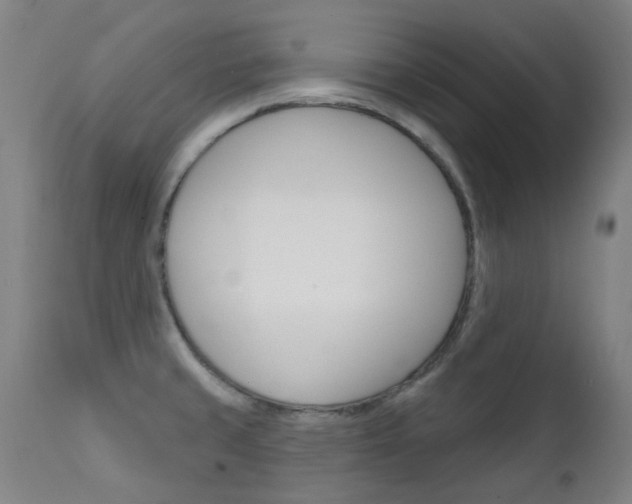 X0000111611429200907171029