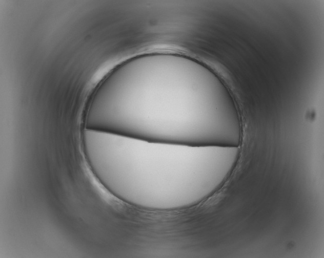 X0000111611430200907171029