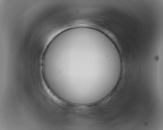X0000111611431200907171029