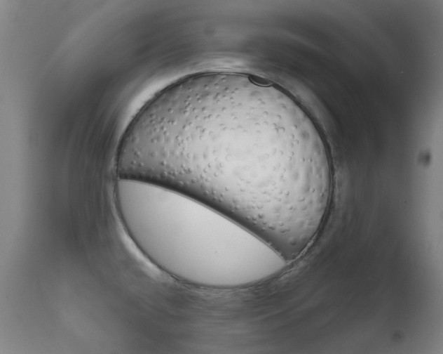 X0000111611432200907171029