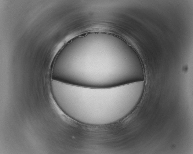 X0000111611434200907171029