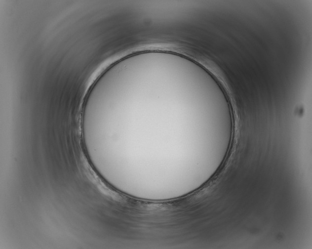 X0000111611436200907171029