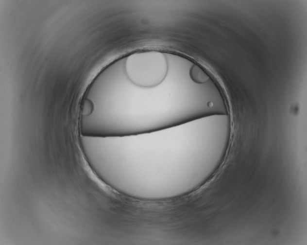X0000111611437200907171029
