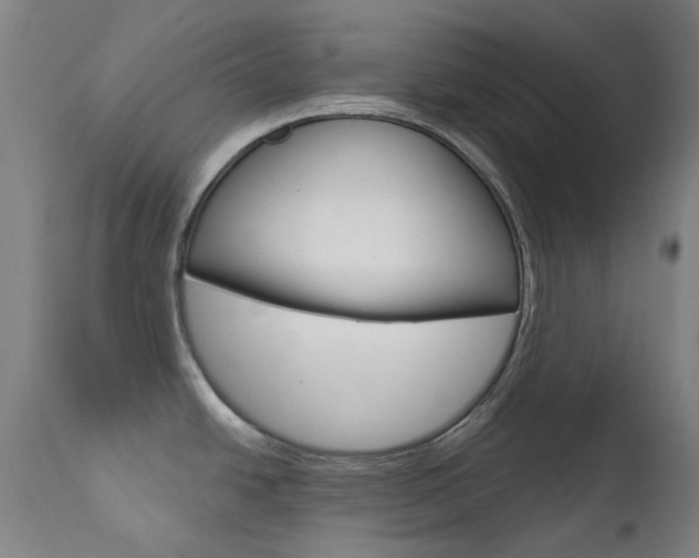 X0000111611438200907171029