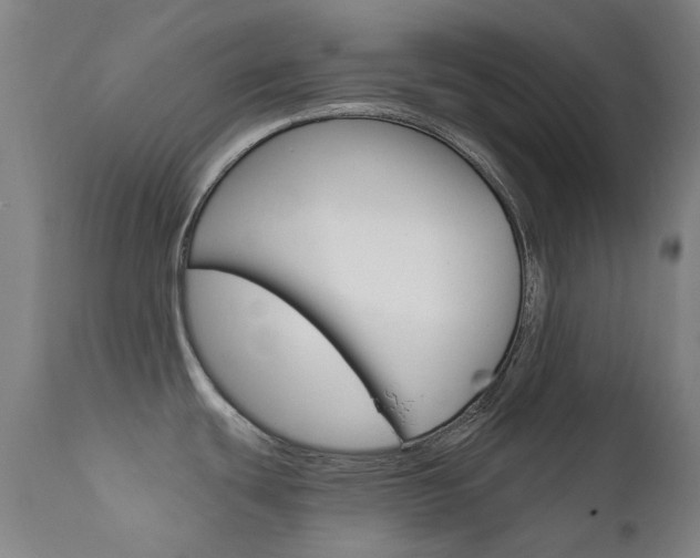 X0000111611439200907171029