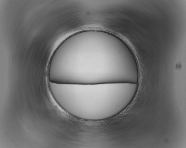 X0000111611440200907171029