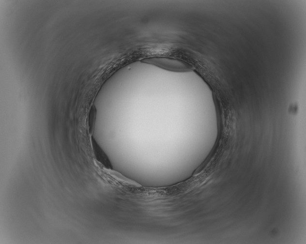 X0000111611441200907171028