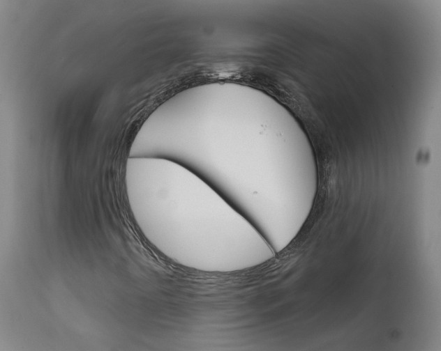 X0000111611442200907171028