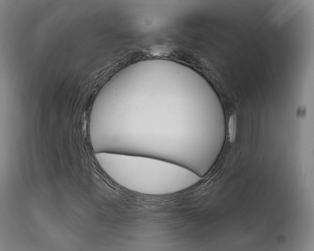X0000111611443200907171028