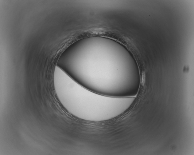 X0000111611444200907171028