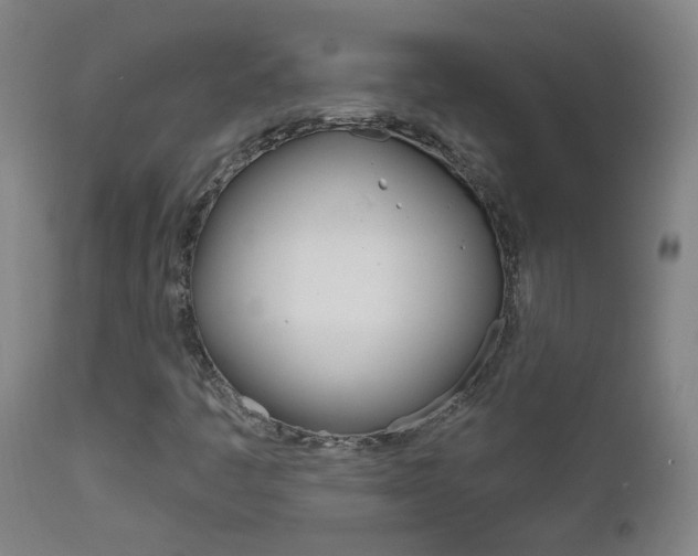 X0000111611445200907171028