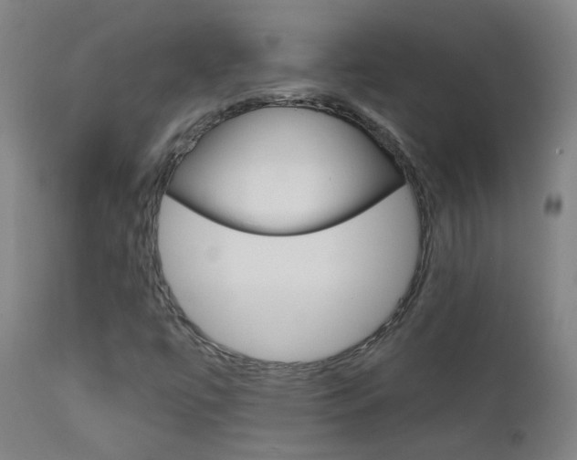 X0000111611447200907171028