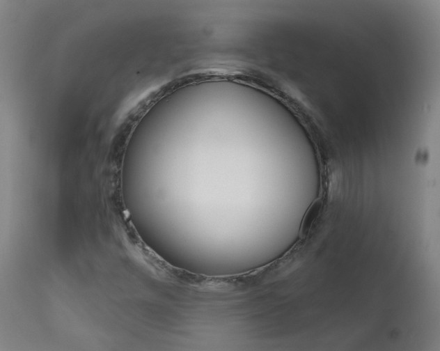 X0000111611448200907171028