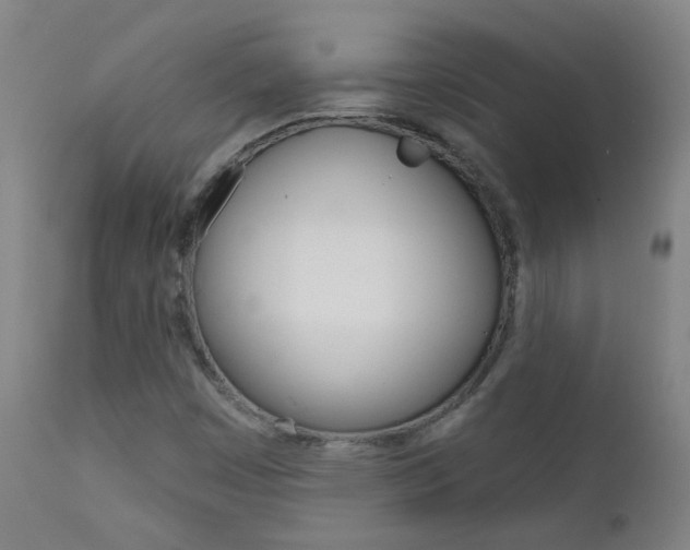 X0000111611449200907171028