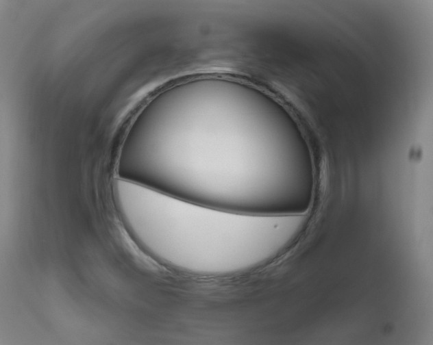 X0000111611452200907171028
