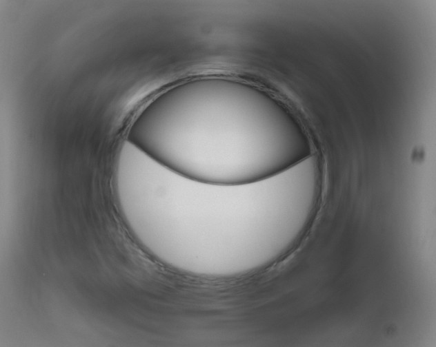 X0000111611453200907171028