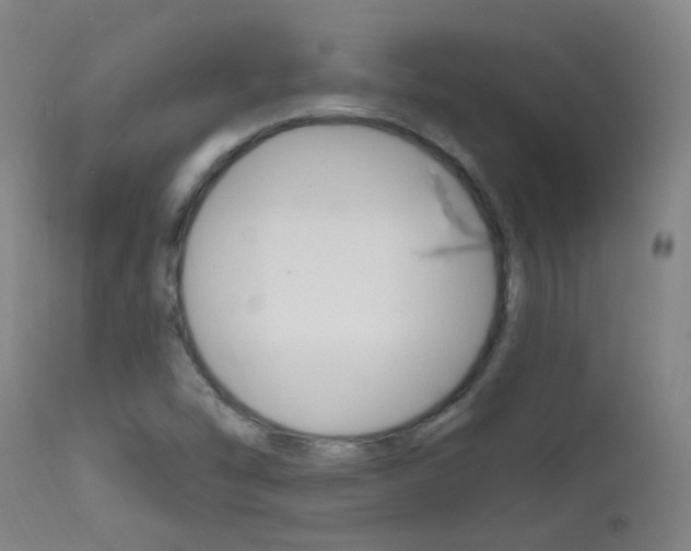 X0000111611454200907171028