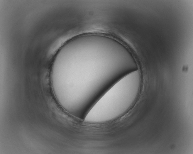 X0000111611455200907171028