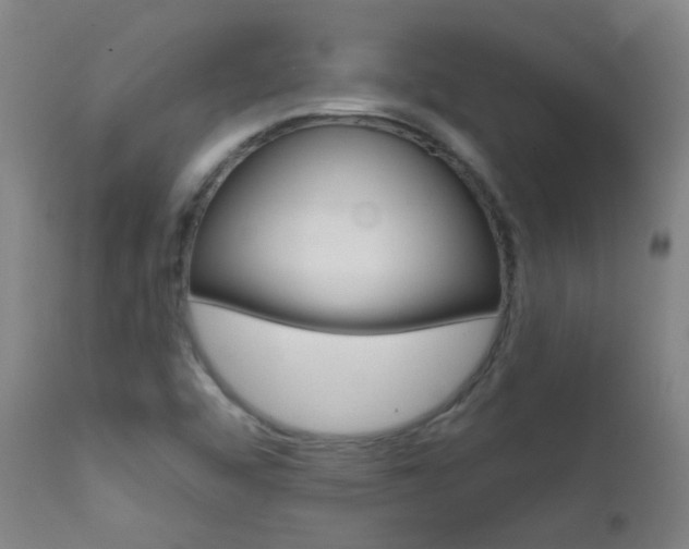 X0000111611456200907171028