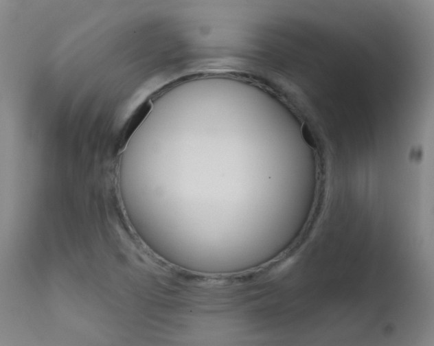 X0000111611457200907171028