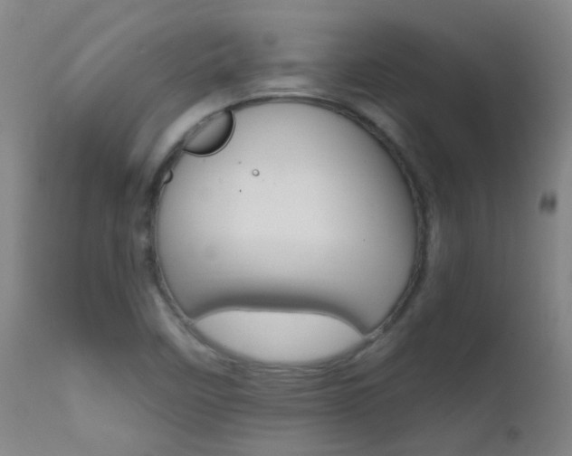 X0000111611458200907171028