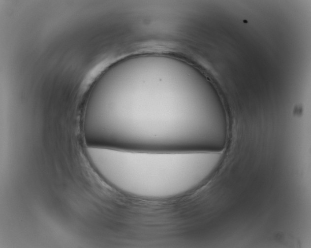 X0000111611459200907171028