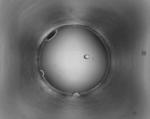 X0000111611460200907171028