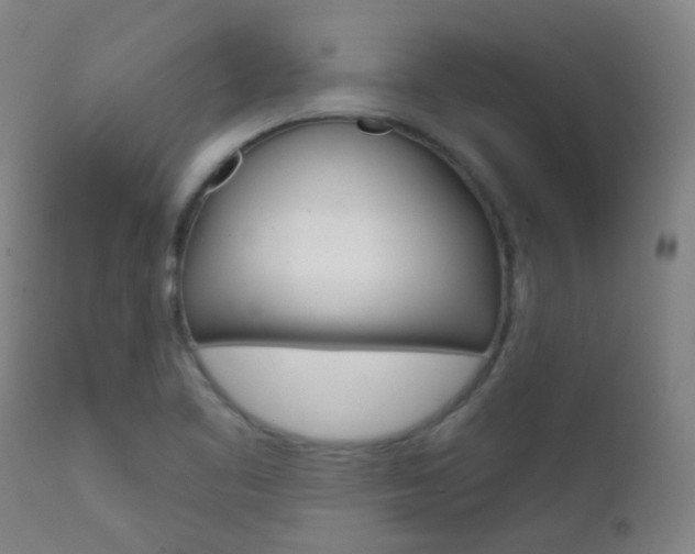 X0000111611461200907171028