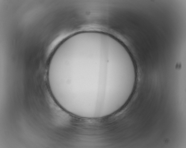 X0000111611462200907171028