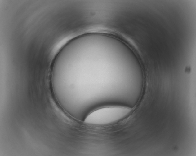 X0000111611463200907171028
