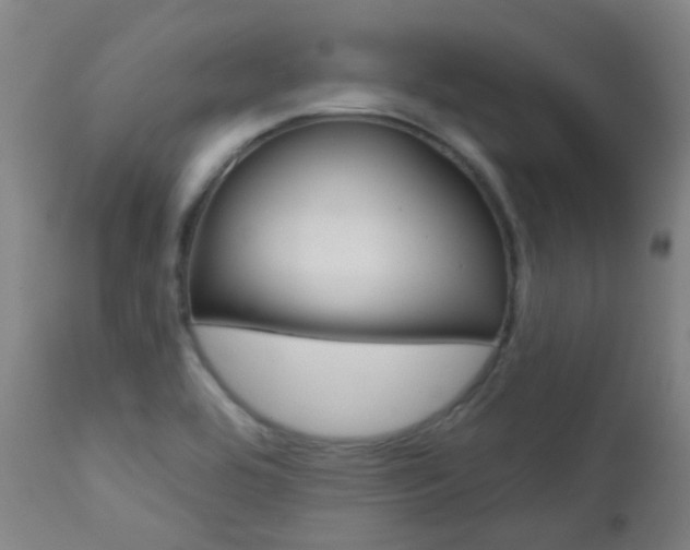 X0000111611464200907171028