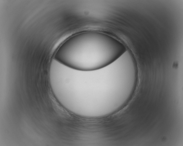 X0000111611465200907171028