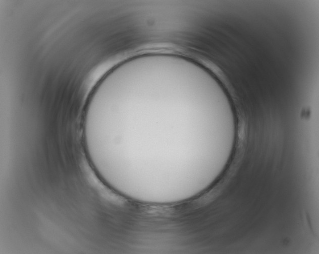 X0000111611466200907171028