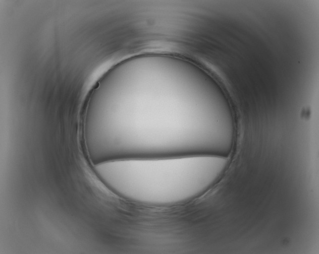 X0000111611467200907171028