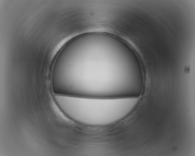 X0000111611468200907171028