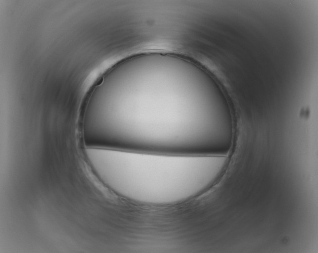 X0000111611469200907171028