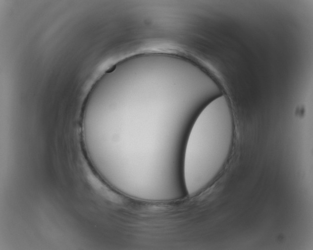 X0000111611471200907171028