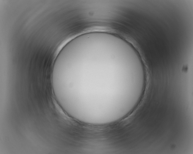 X0000111611473200907171028