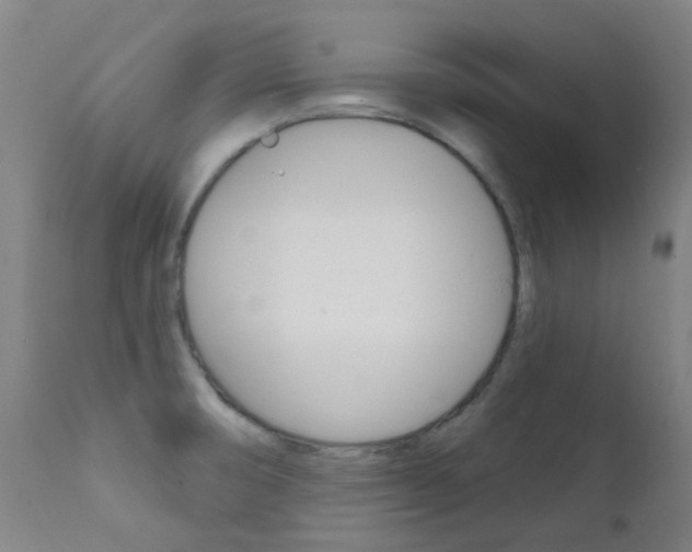 X0000111611474200907171028