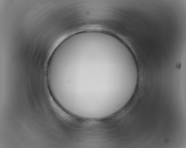X0000111611475200907171028