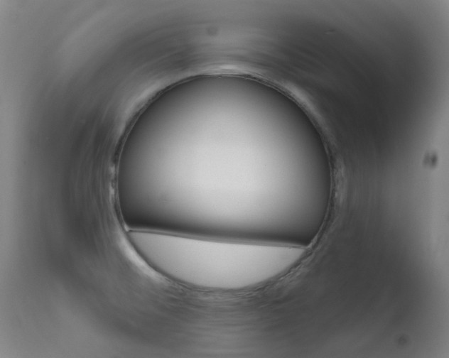 X0000111611476200907171028