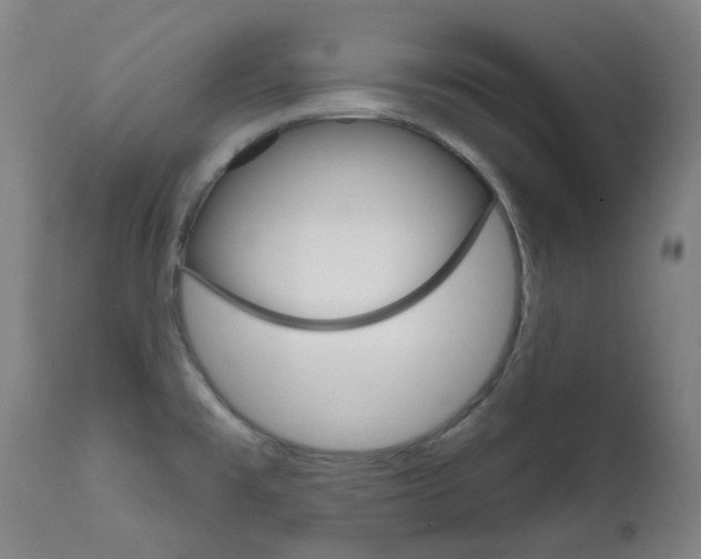 X0000111611477200907171028