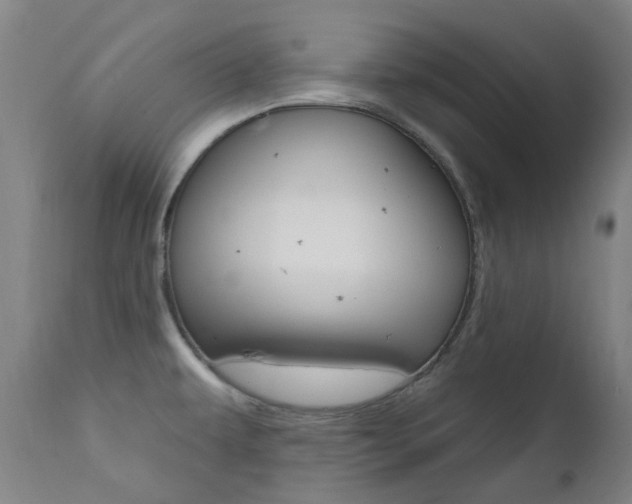 X0000111611479200907171028